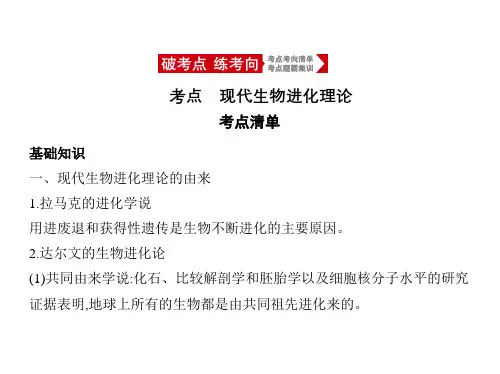 2021年北京新高考生物复习课件：专题15 生物的进化