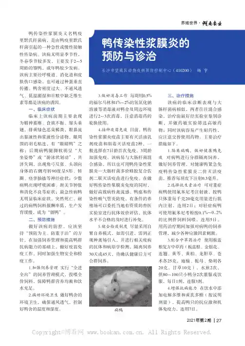 鸭传染性浆膜炎的预防与诊治