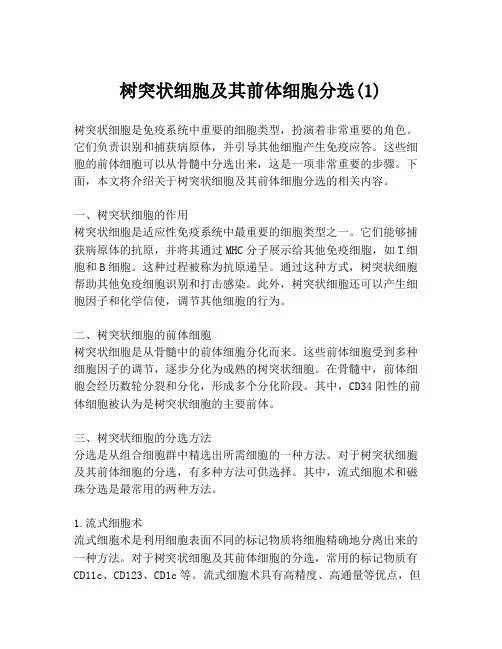树突状细胞及其前体细胞分选(1)