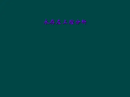 永存左上腔分析