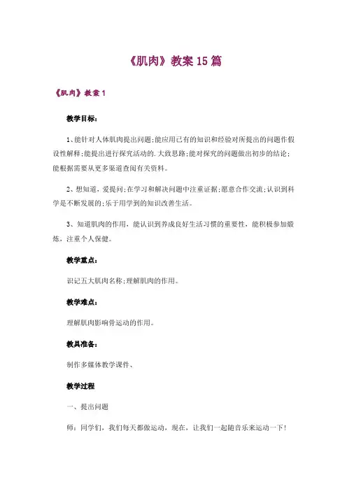 《肌肉》教案15篇