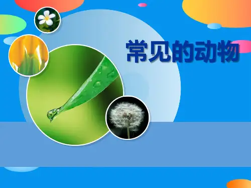 《常见的动物》身边的动植物PPT课件【精品推荐课件】