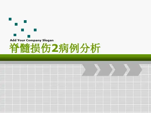 脊髓损伤2病例分析课件