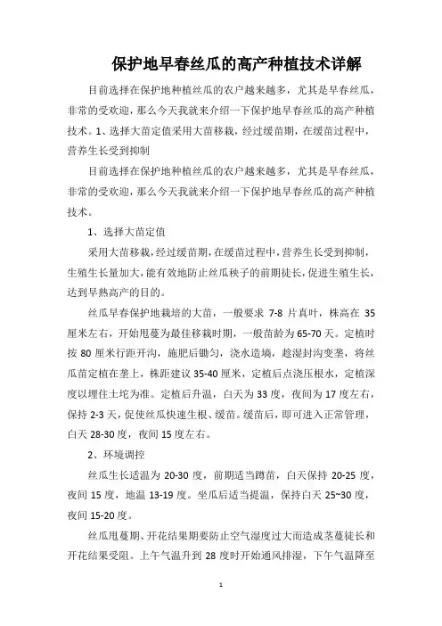 保护地早春丝瓜的高产种植技术详解
