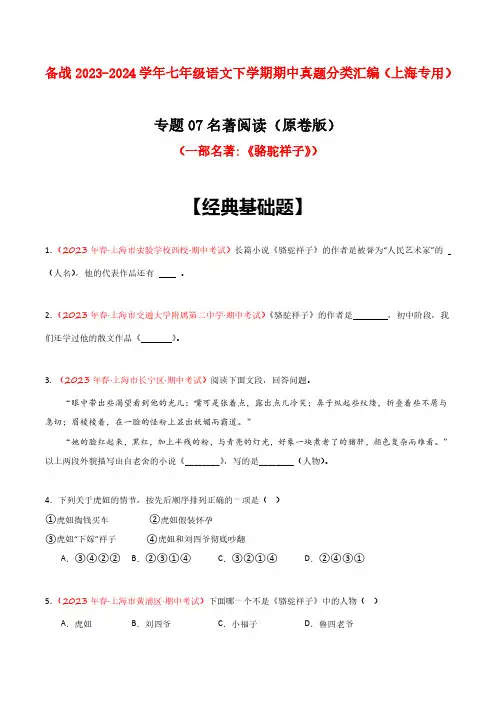 专题07 名著阅读(一部名著)(原卷版)