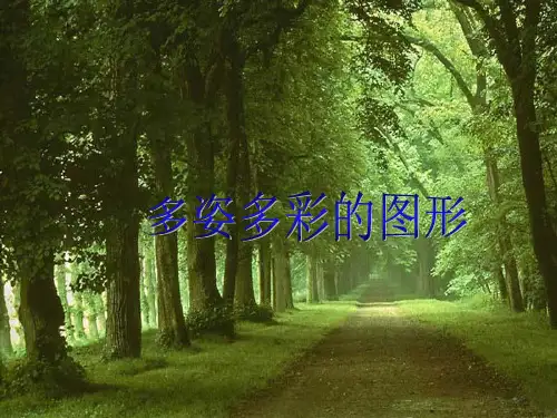 多姿多彩的图形1