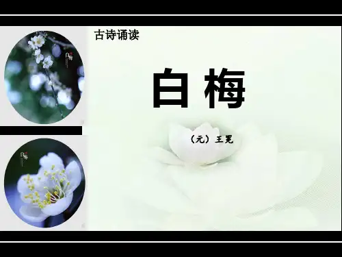 第1课 白梅