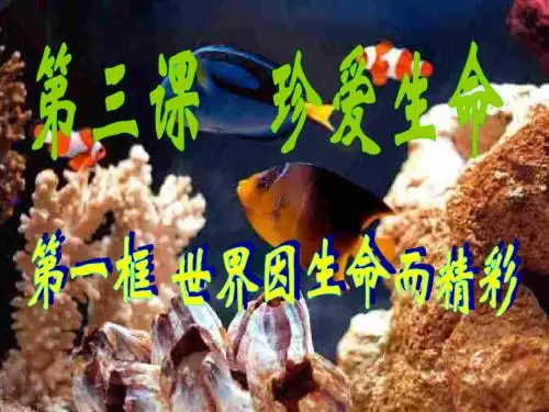 2.3世界因生命而精彩
