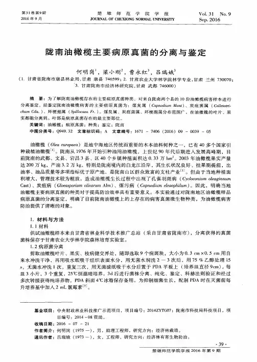 陇南油橄榄主要病原真菌的分离与鉴定