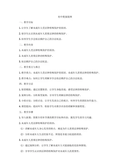 初中教案提纲