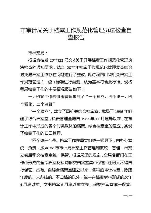 市审计局关于档案工作规范化管理执法检查自查报告