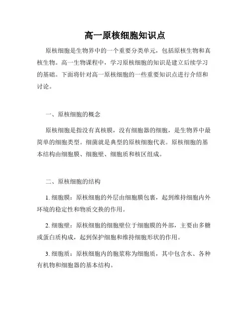 高一原核细胞知识点