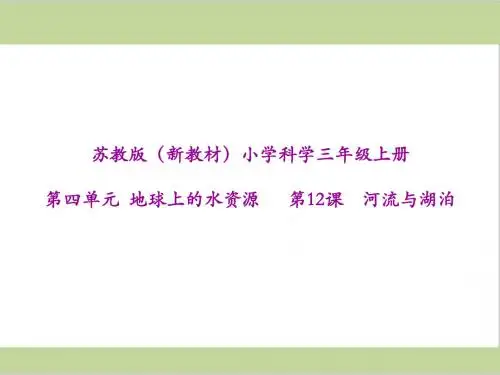 2019年新苏教版(新教材)三年级上册小学科学 第12课 河流与湖泊