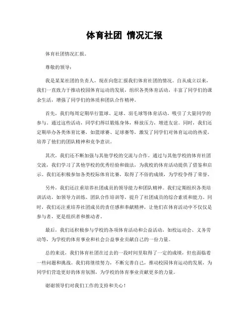 体育社团 情况汇报