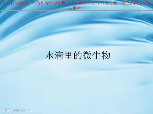 水滴里的微生物
