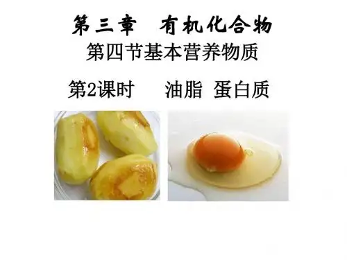 2.3.4油脂蛋白质