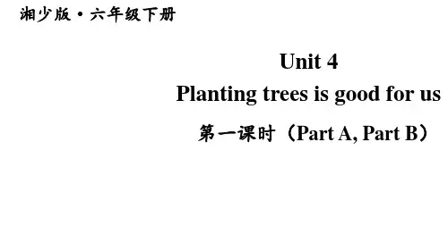 湘少版(三起)英语六年级下册Unit 4   (Part A,Part B)课件