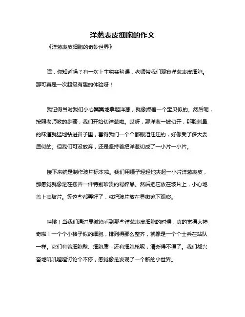 洋葱表皮细胞的作文