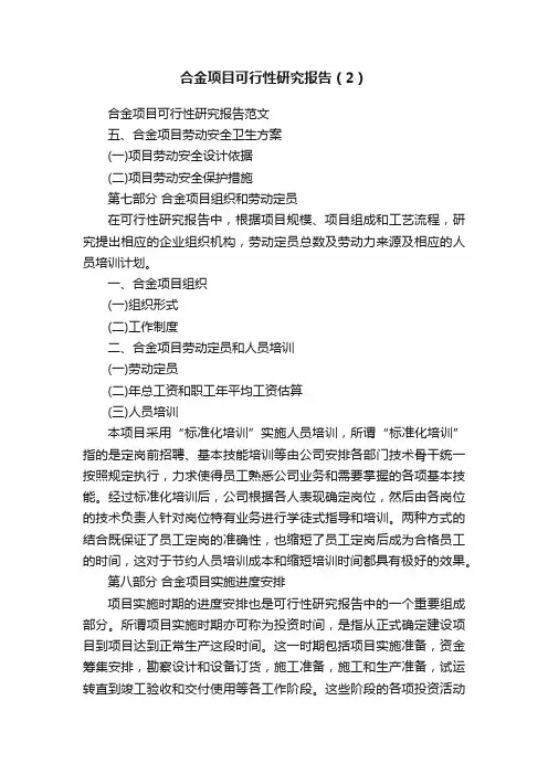 合金项目可行性研究报告（2）