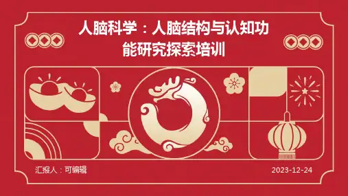 人脑科学：人脑结构与认知功能研究探索培训ppt