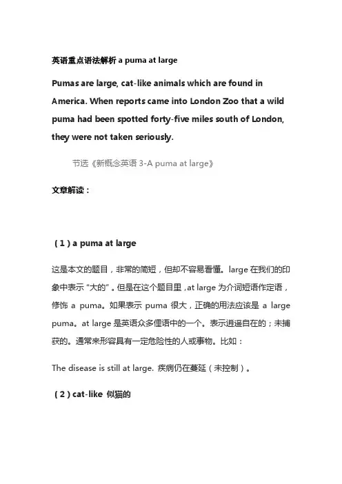 英语重点语法解析a puma at large