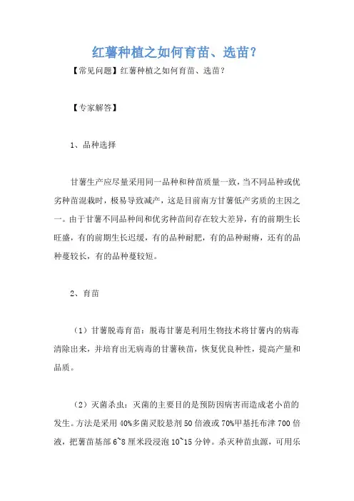 红薯种植之如何育苗、选苗？