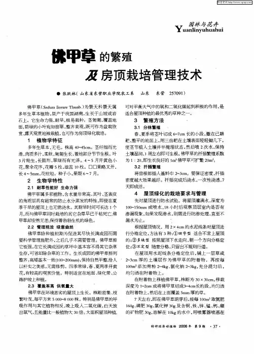 佛甲草的繁殖及房顶栽培管理技术