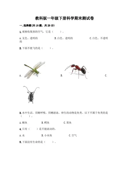 教科版一年级下册科学期末测试卷附参考答案(实用)