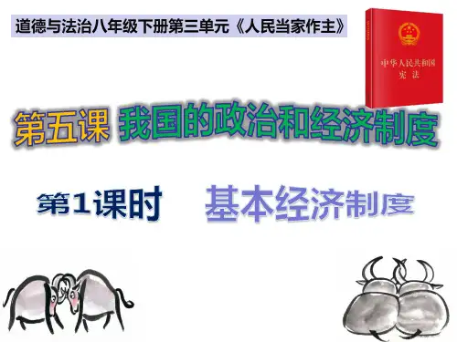 5.1 基本经济制度 课件(含思维导图)