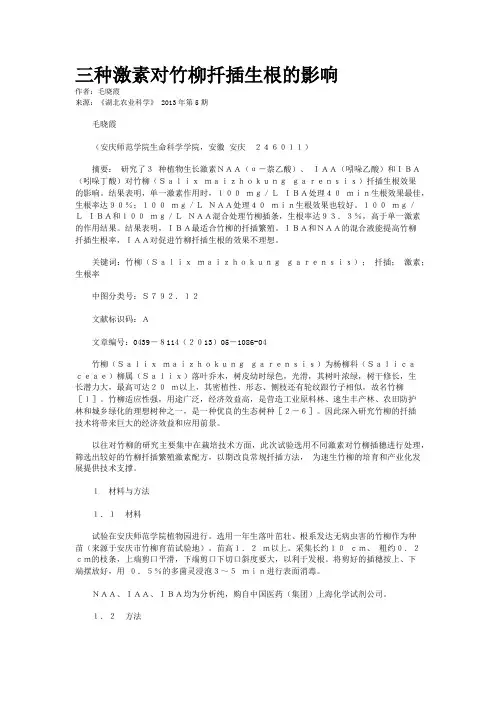 三种激素对竹柳扦插生根的影响    