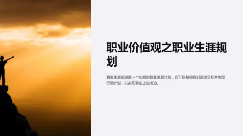职业价值观之职业生涯规划
