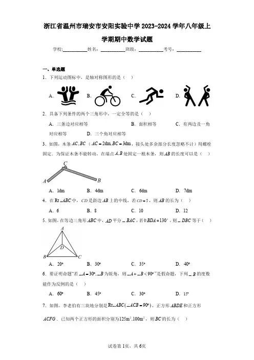 浙江省温州市瑞安市安阳实验中学2023-2024学年八年级上学期期中数学试题