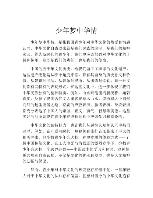 少年梦中华情