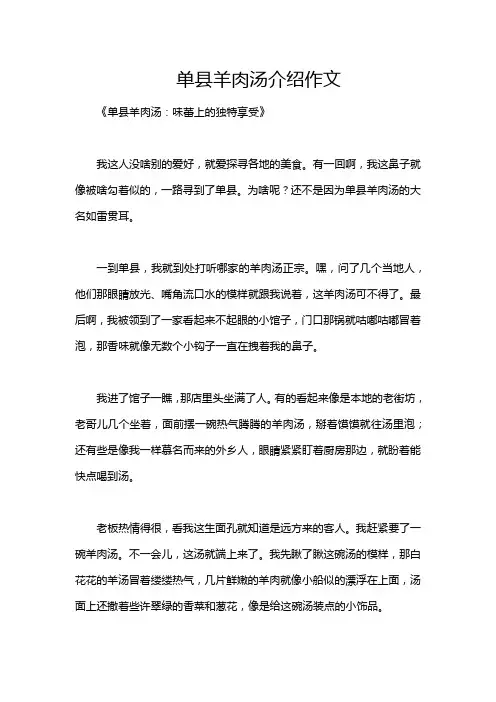 单县羊肉汤介绍作文