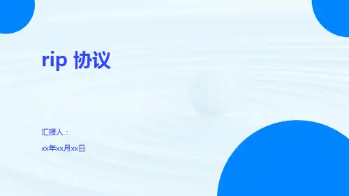 rip 协议