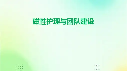 磁性护理与团队建设PPT