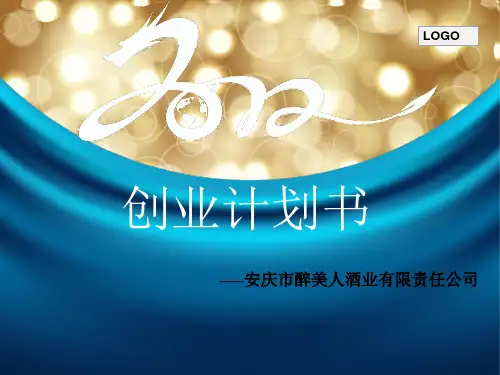 某酒业有限责任公司创业计划书(PPT 53页)