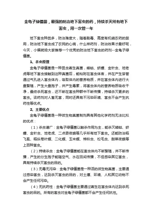 金龟子绿僵菌，最强的防治地下害虫的药，持续杀灭所有地下害虫，用一次管一年