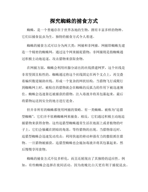 探究蜘蛛的捕食方式