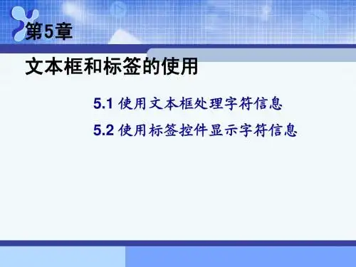 VB五章课件