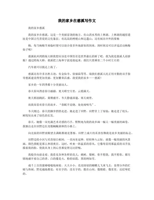 我的家乡在慈溪写作文