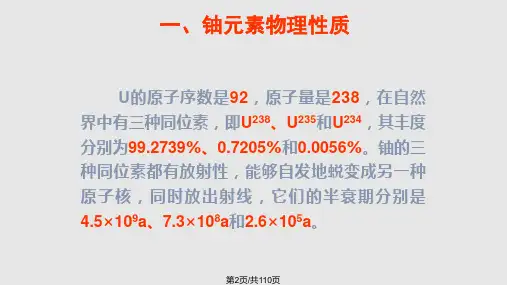 铀元素及铀矿物基本特征.pptx