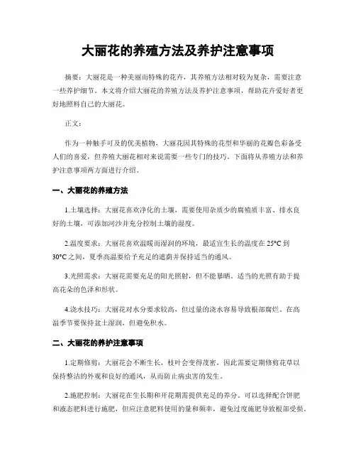 大丽花的养殖方法及养护注意事项