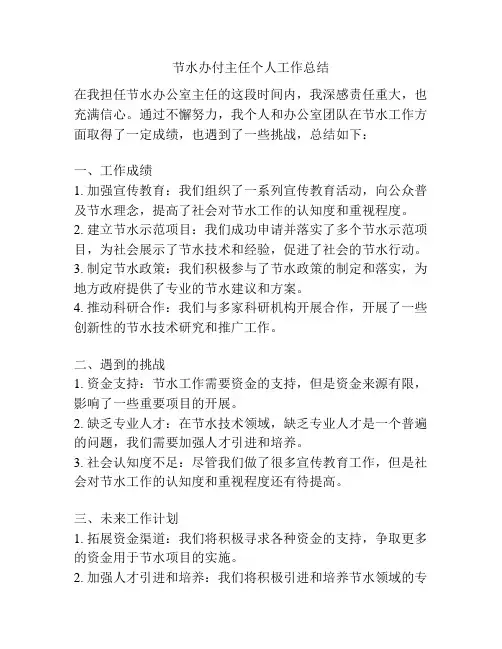 节水办付主任个人工作总结