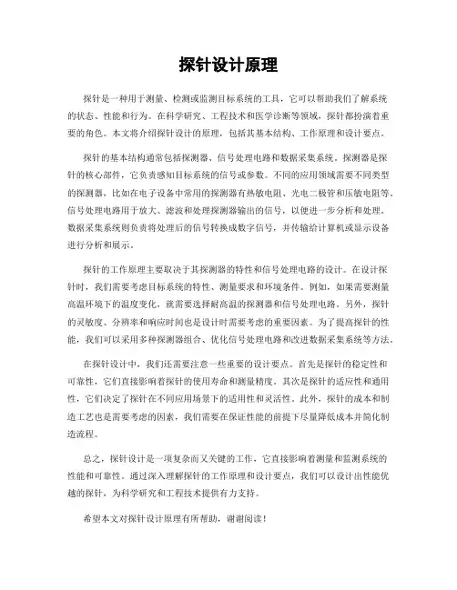 探针设计原理