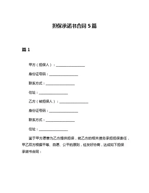 担保承诺书合同5篇