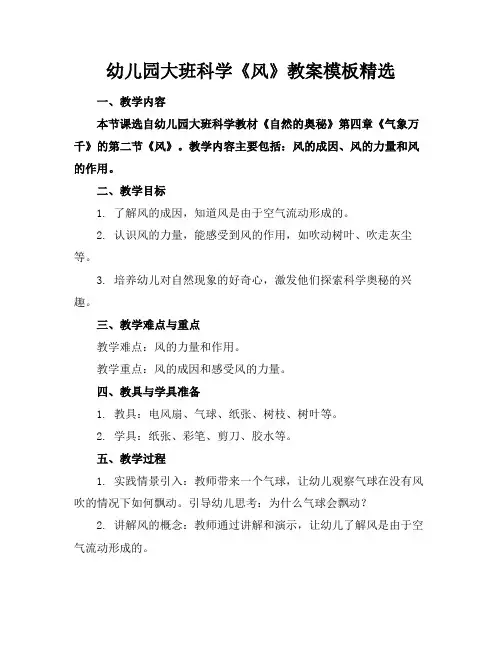 幼儿园大班科学《风》教案模板精选