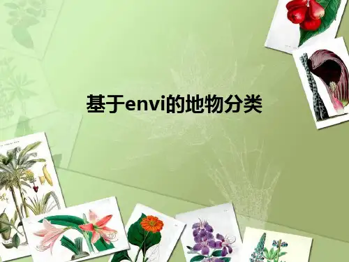 基于envi的地物分类
