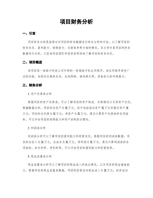 项目财务分析