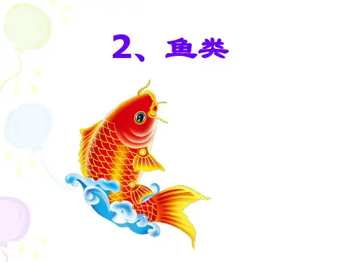 小学四年级上册科学鱼类